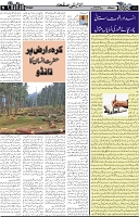 Page 5 chattan