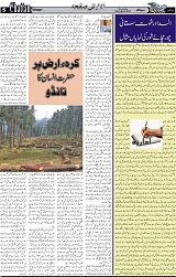 Page 5 chattan